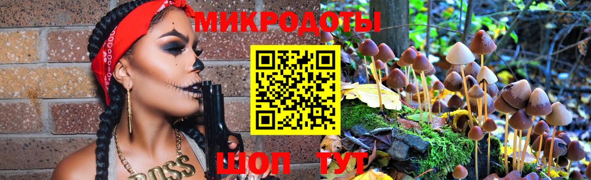 Псилоцибиновые грибы Psilocybe  Вход с VPN  Семилуки 
