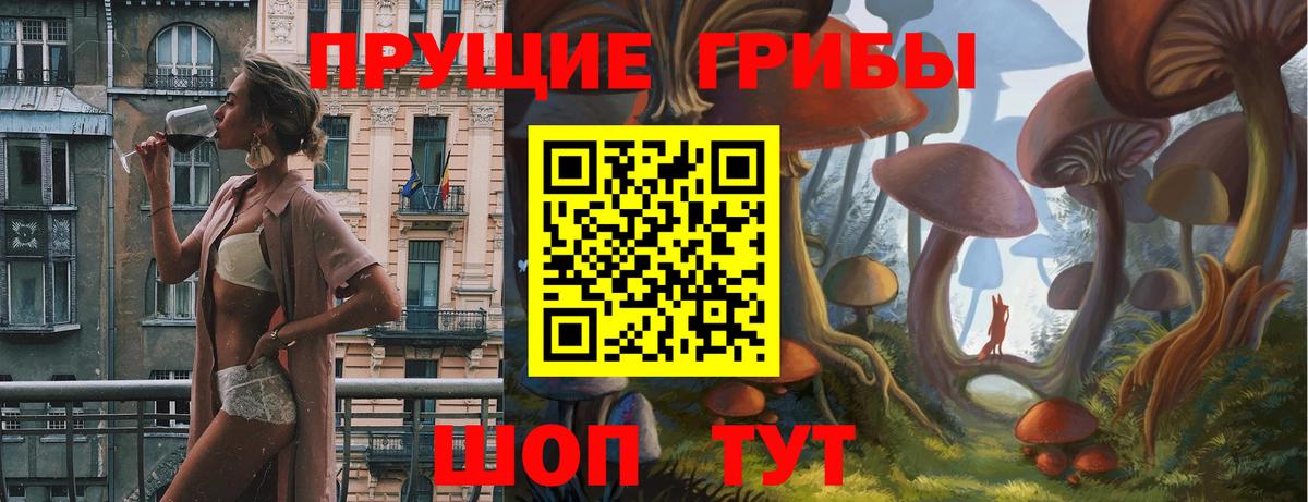 Галлюциногенные грибы Psilocybine cubensis Семилуки